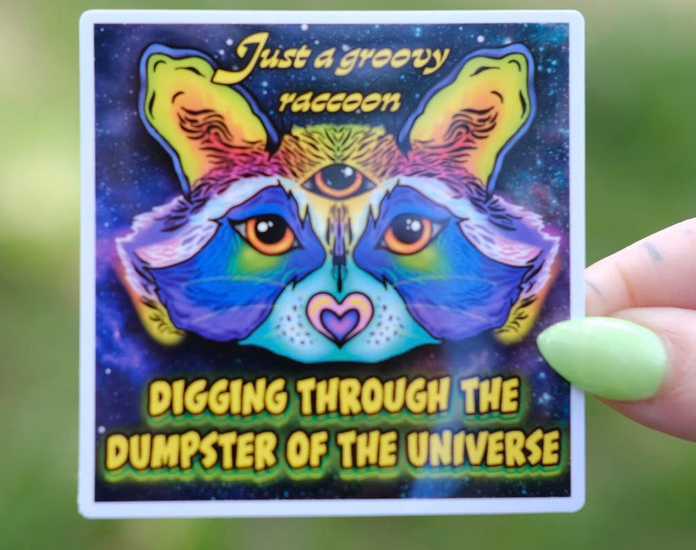 Groovy Raccoon